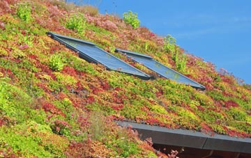 Great Chishill living roof systems